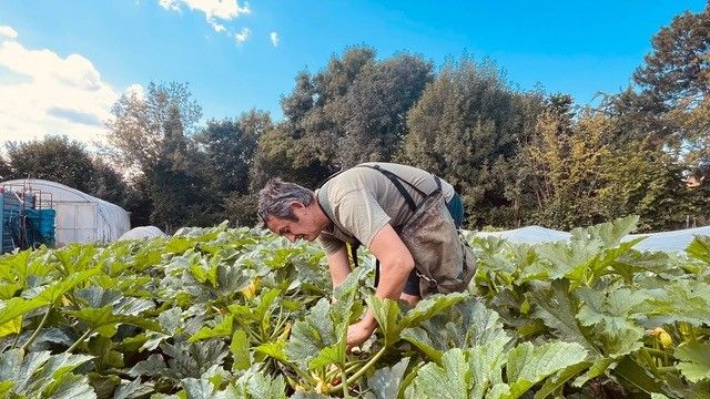 David Errera - Cycle farm 4.jpg