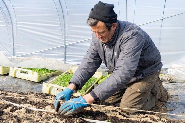 David Errera - Cycle farm 5.jpg