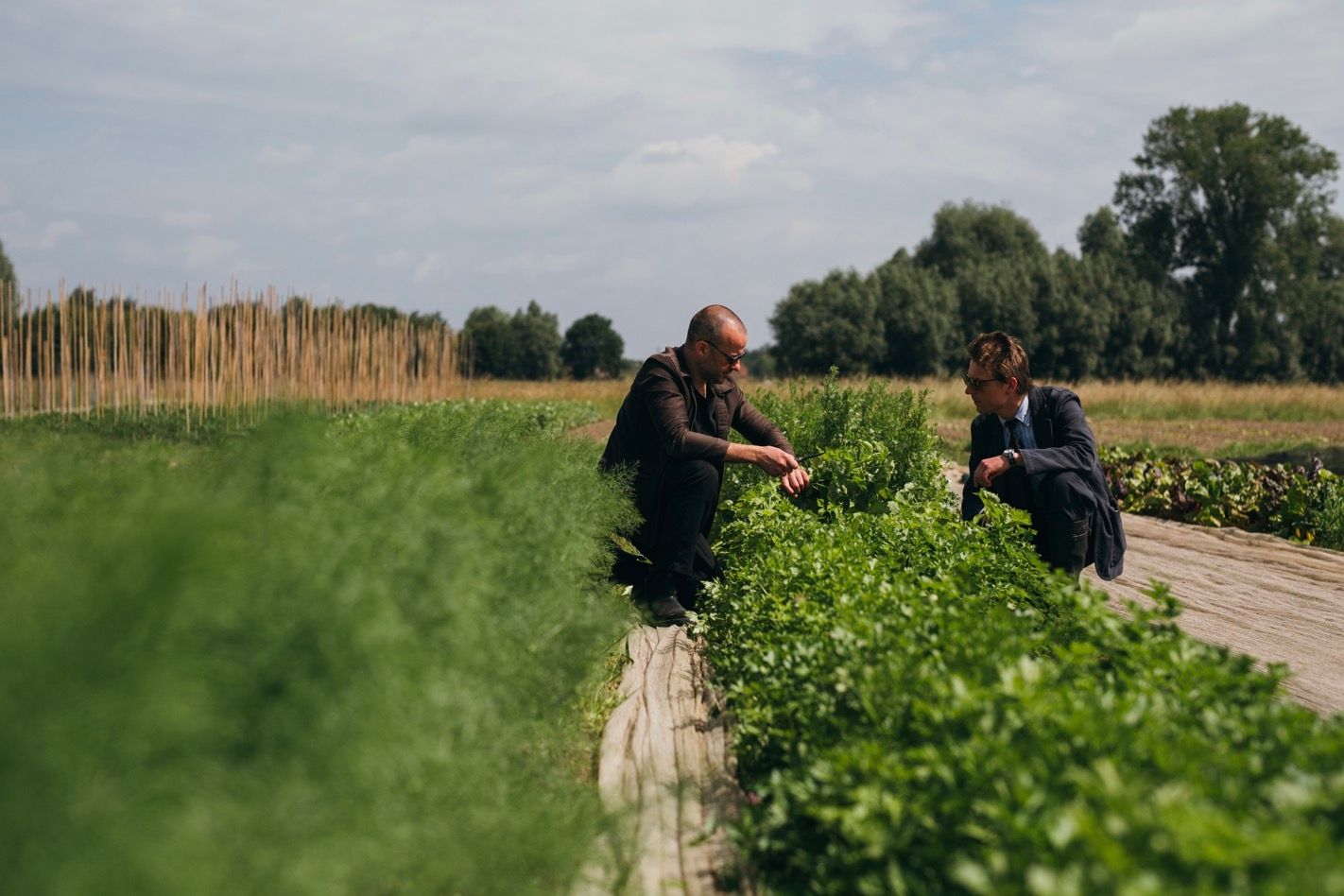 GillesDraps_MaartenVanEssche_Meteor-27 (1).jpg