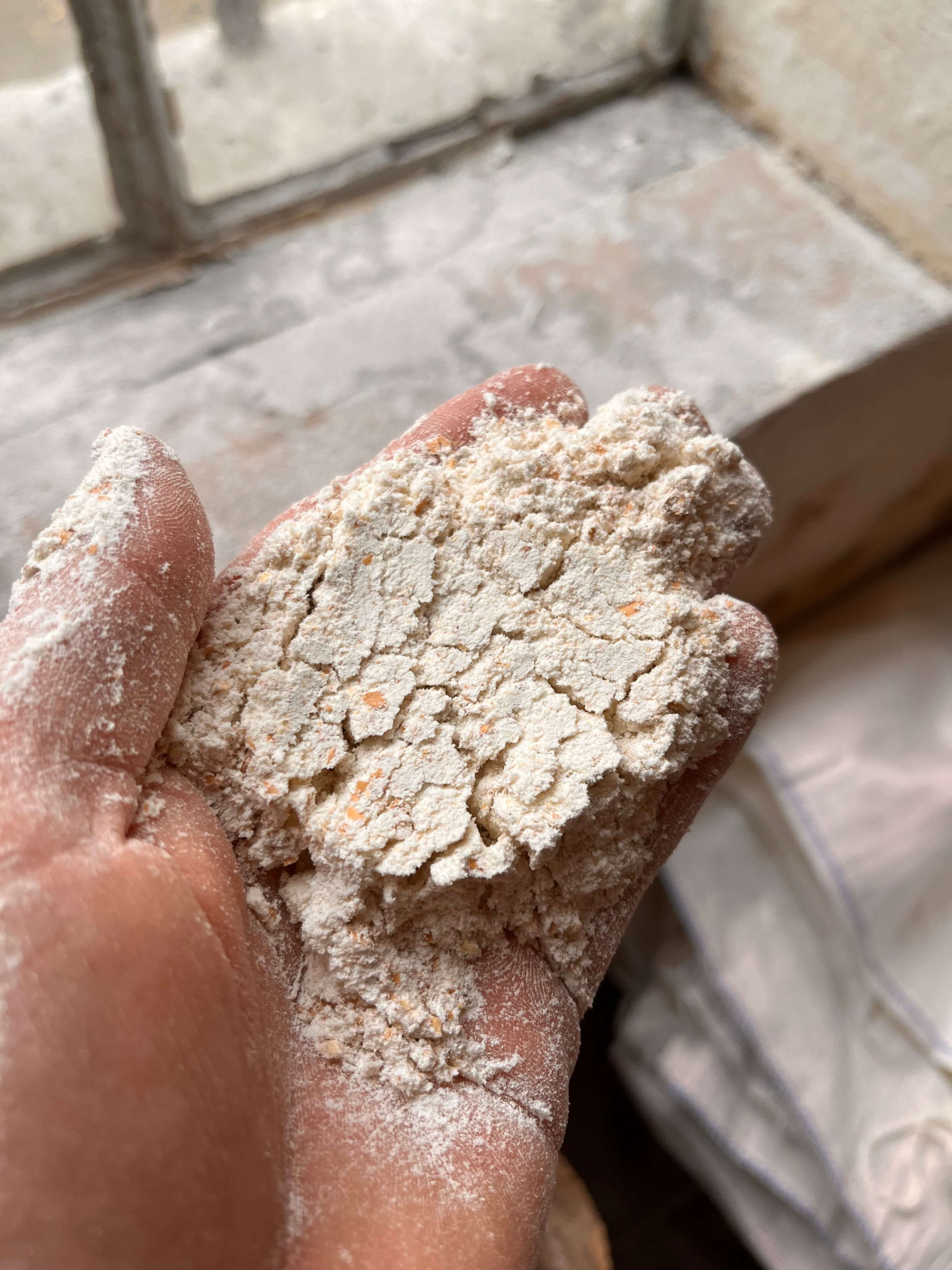 Ijzerkotmolen - meel 2.jpeg