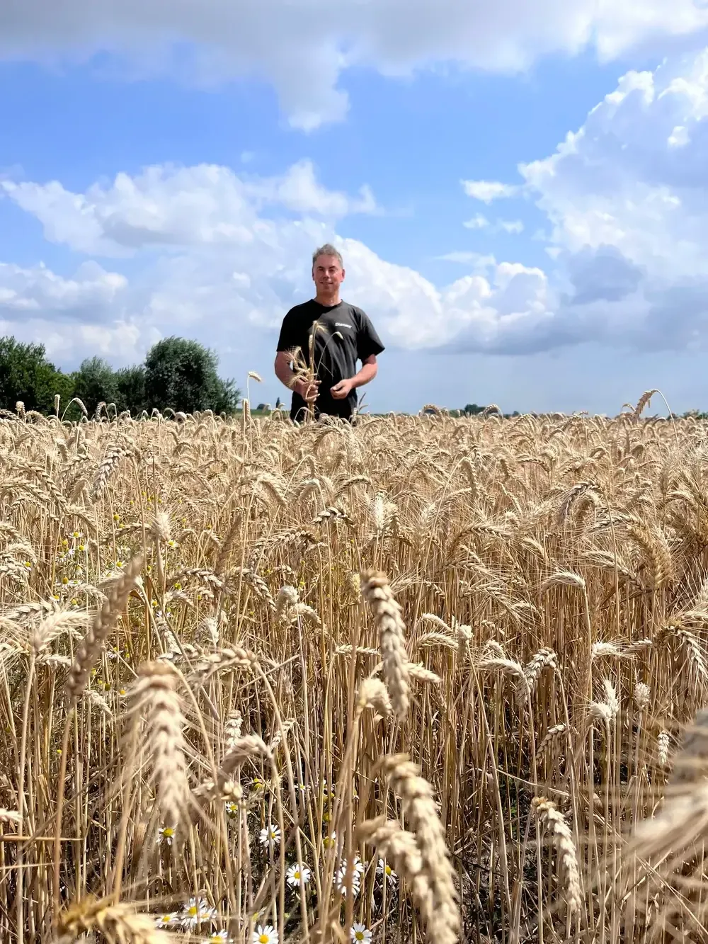 ijzerkotmolen - graan.webp